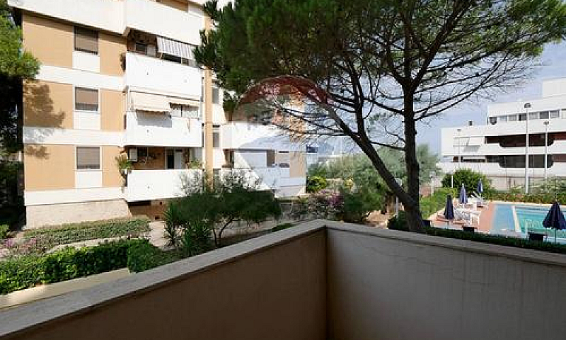 Appartamento - Bari...
