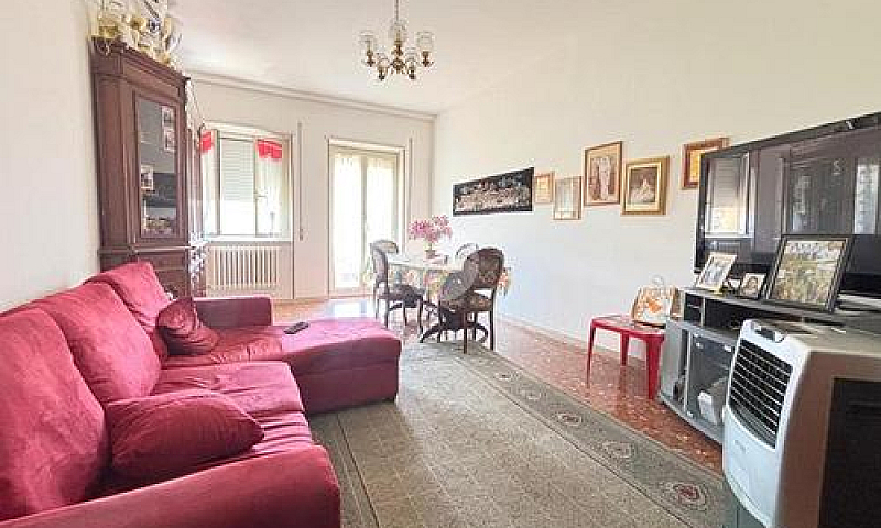 5 Locali A Viterbo...