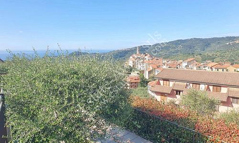 Appartamento Di 60 M...