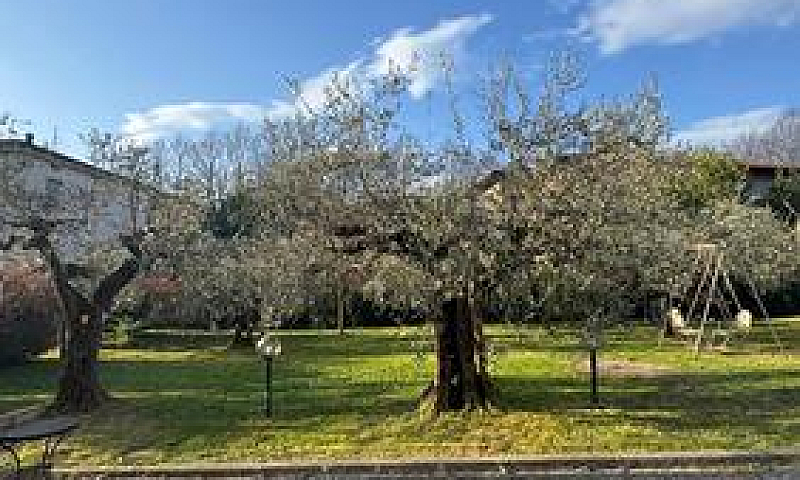 Appartamento Con Gia...