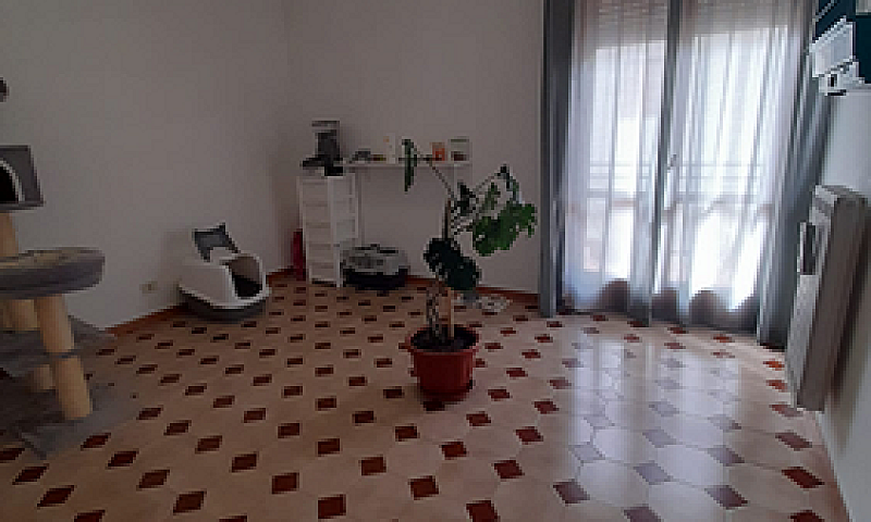 Ampio Appartamento A...