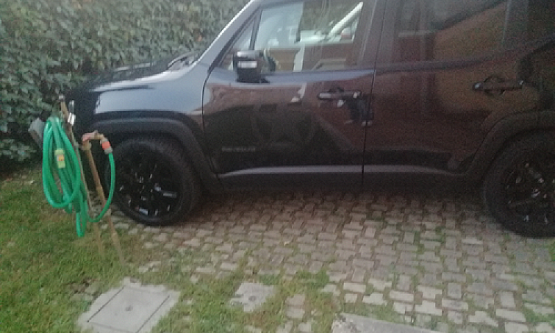 Renegade 1.6 Multije...