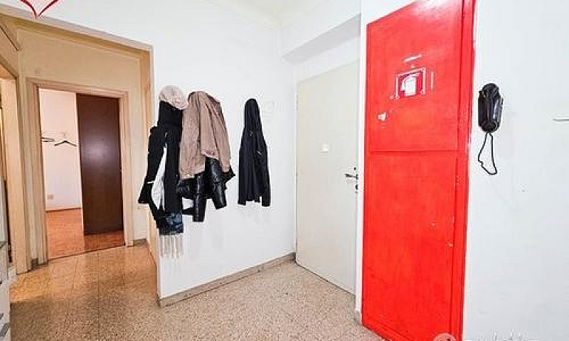 Viale Sanzio - Lumin...