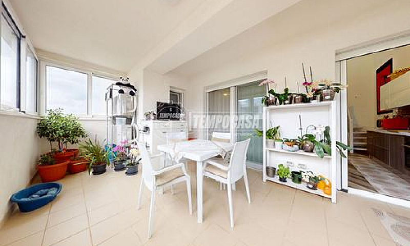 Legante Duplex In Cl...