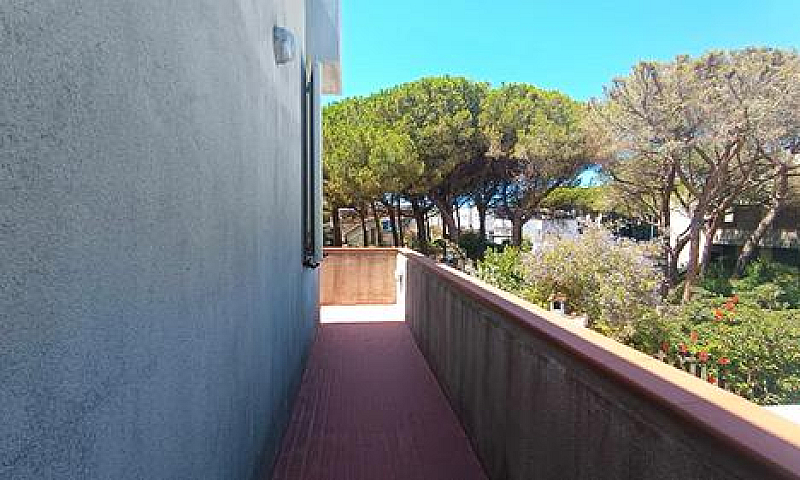 Trilocale A Platamon...