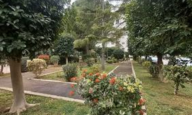 Lama Circ. Dei Fiori...