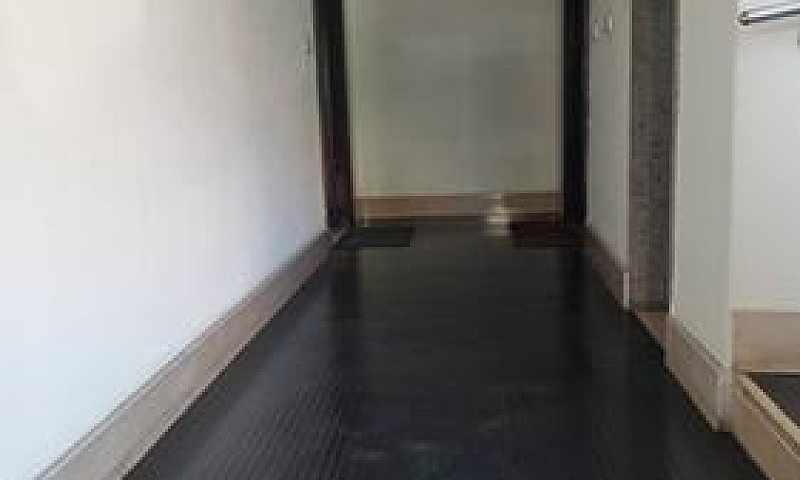Zona Università, Tri...
