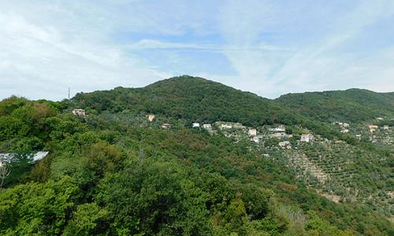 Camogli Collina Vend...