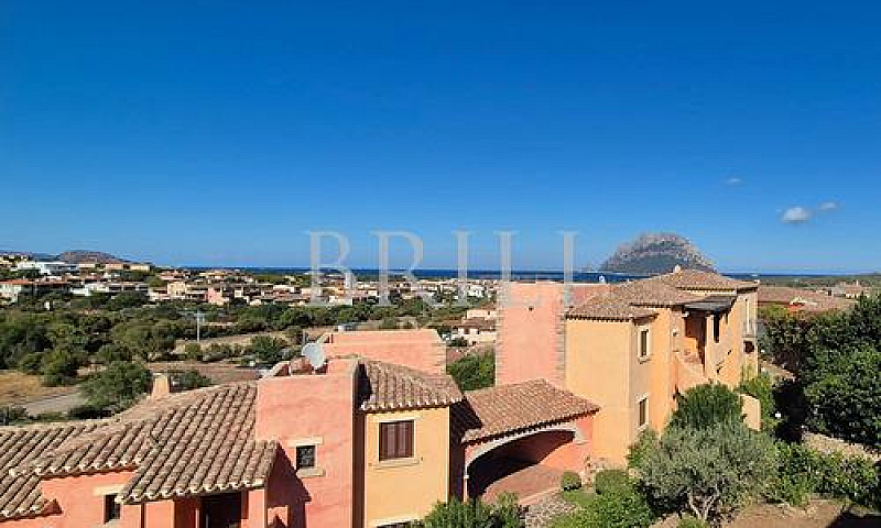Porto San Paolo - Bi...