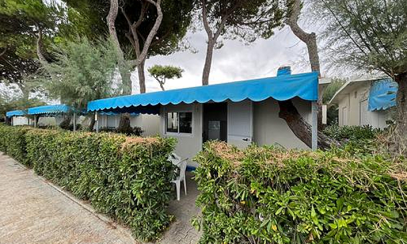 Casa Mobile...