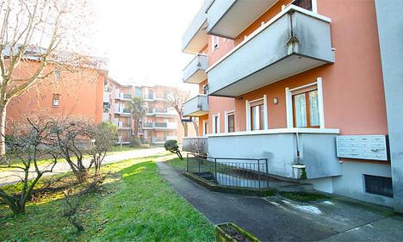 Roncello - Grande 3 ...