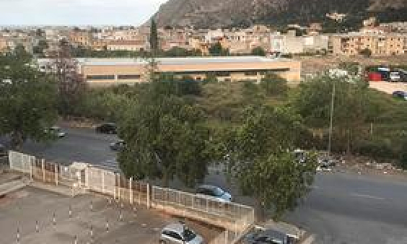 Zona Bonagia Comodo ...