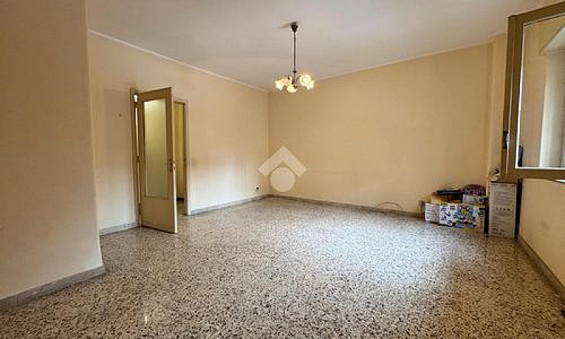 Rapisardi Basso-3 Va...