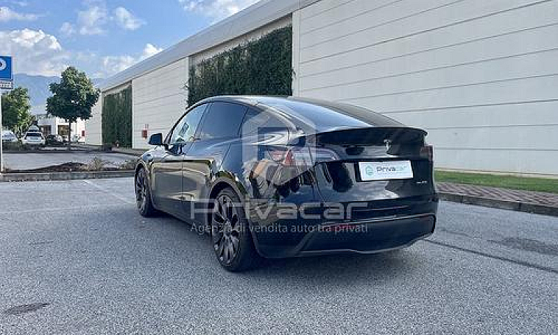 Tesla Model Y Perfor...