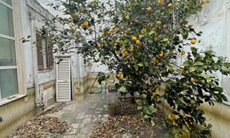 Ampio Appartamento D...