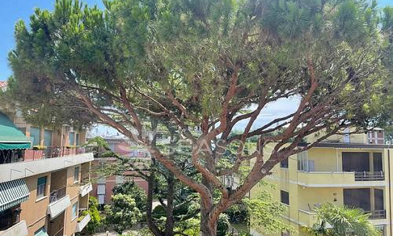 Appartamento - Venez...