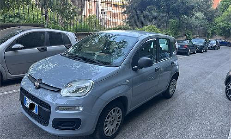 Fiat Panda 1.2 Benzg...