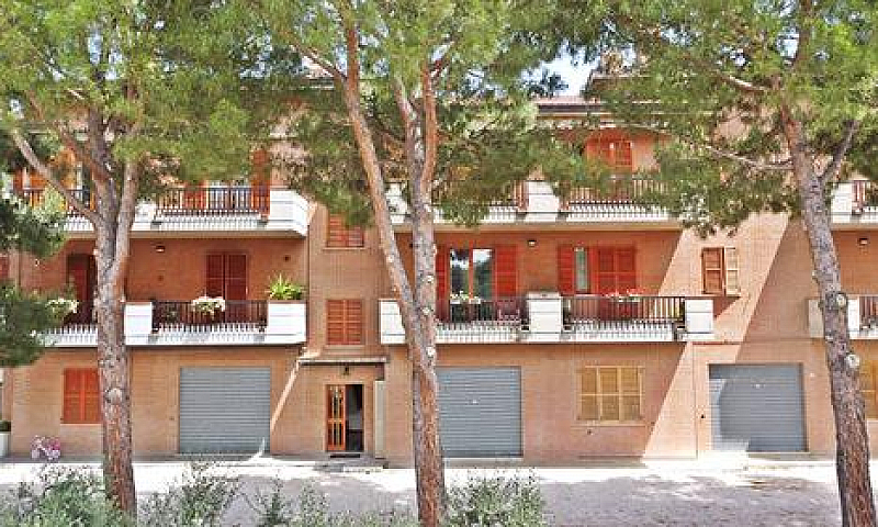 Appartamento - Torre...