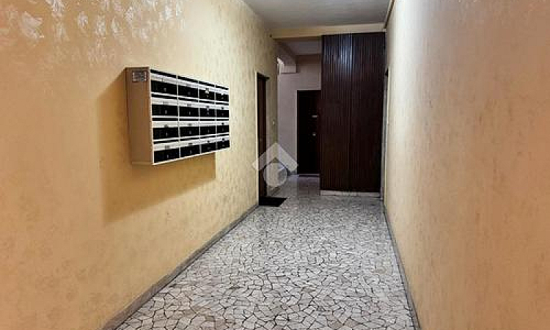 Rapisardi Basso-3 Va...