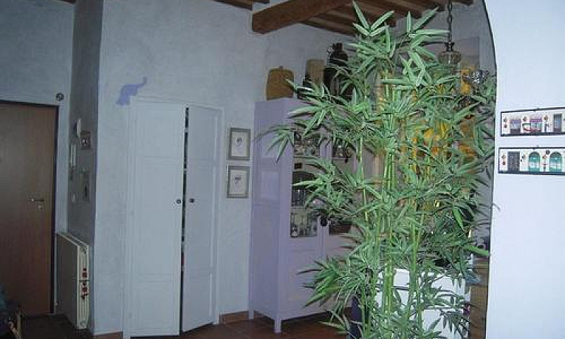 Appartamento Massa M...