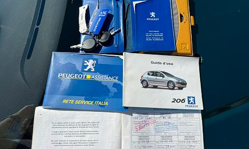 Peugeot 206 Roland G...