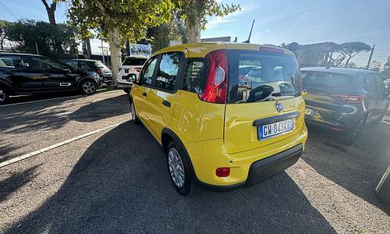 Fiat Panda 1.0 Firef...