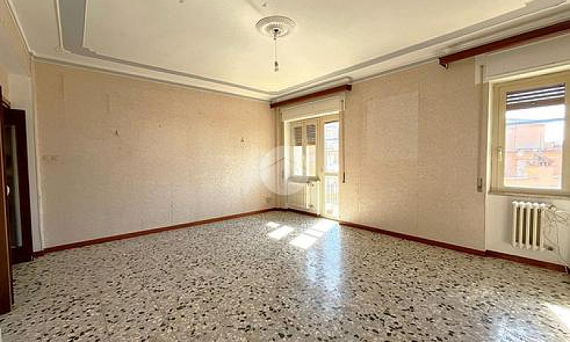 5 Locali A Viterbo...