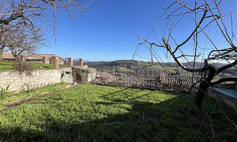 Amelia Palazzetto Ne...