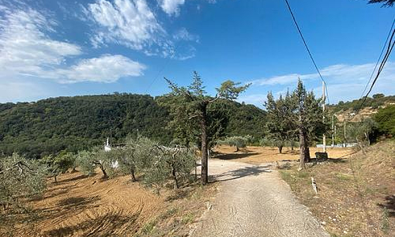 Campagna Con Apparta...