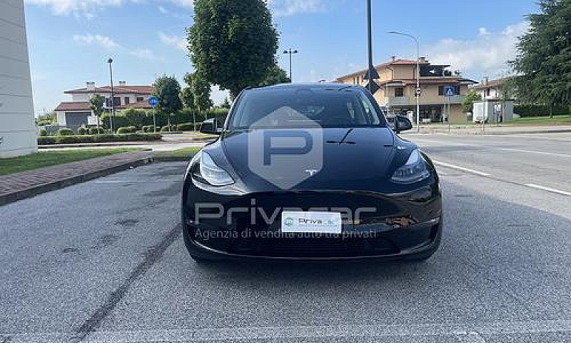Tesla Model Y Perfor...