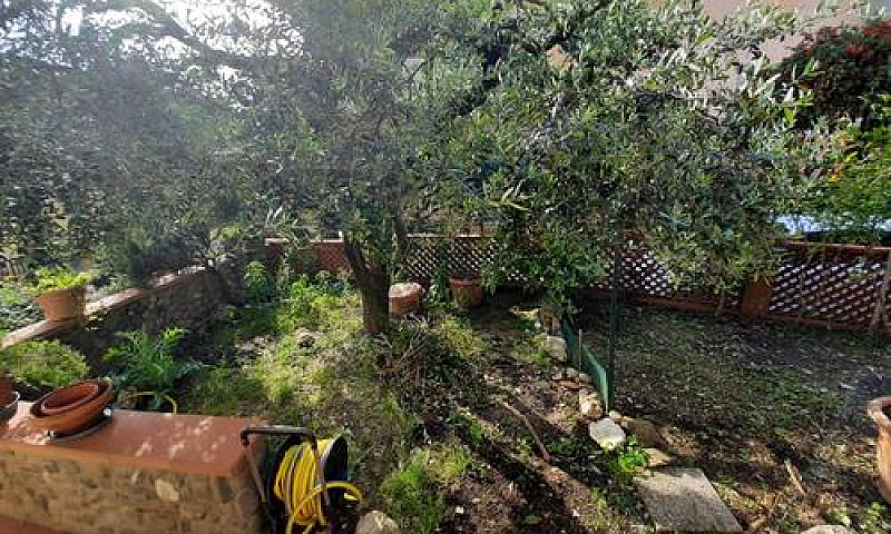 Appartamento A Altop...