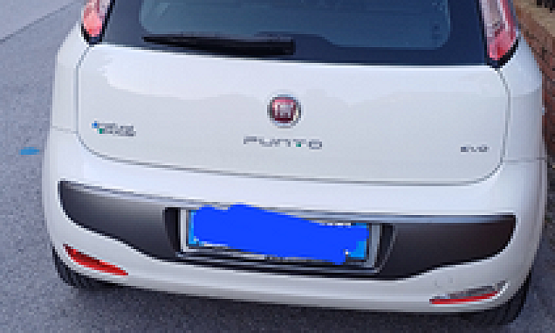 Fiat Punto Evo Natur...