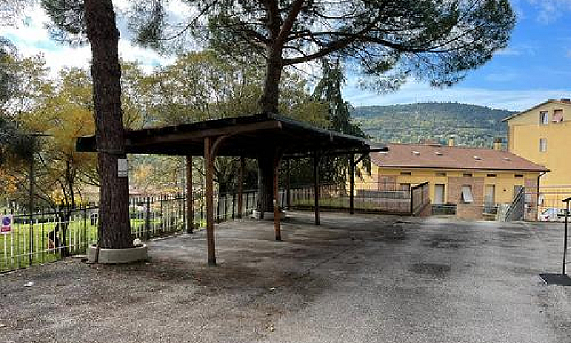 Ferro Di Cavallo Con...
