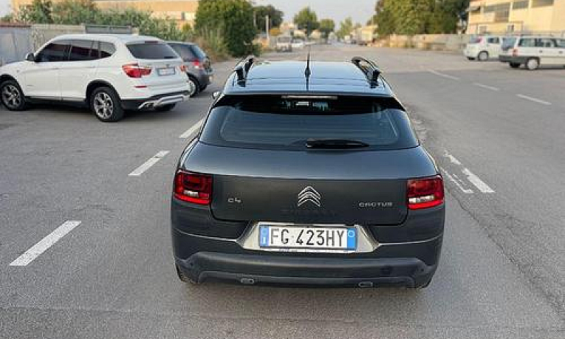 Citroen - C4 Cactus ...