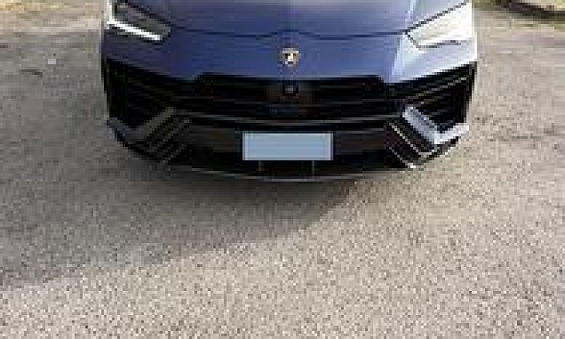 Ursu Performante...