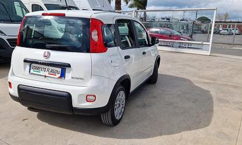 Fiat Panda 1.0 Firef...