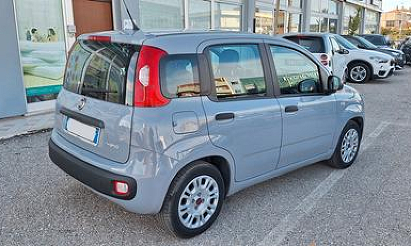 Fiat Panda 1.0 Firef...