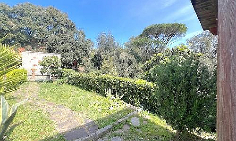 Castiglioncello, Con...
