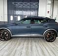 Cupra Formentor 2.0 Tsi 4Drive Dsg Vz Launch Editi