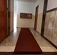 Rif.24378| Appartamento Trilocale