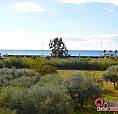 Appartamento A Due Passi Dal Mare