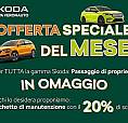 Skoda Karoq 1.5 Tsi Act Dsg Executive