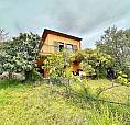 Villa Singola Con Ampio Uliveto