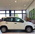 Fiat Panda S7 1.0 Hybrid - Km0
