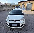 Panda Usata Come Nuova