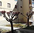 Appartamento In Via Torraca A Potenza;