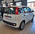 Fiat Panda 1.0 Firefly Hybrid 70 Cv