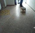 Appartamento - Guardialfiera