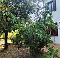 Appartamento Su Casa Bifamiliare Con Scoperto