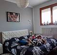 Splendido Appartamento 3 Camere Locato